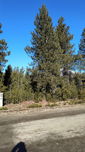 Terreno En Venta - 1.300mts2 - Villa Lago Gutiérrez, San Carlos De Bariloche