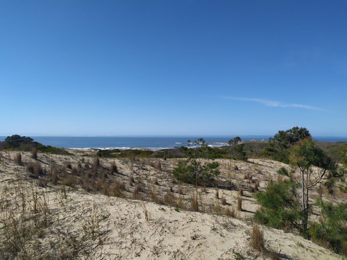 Imagen 9 de 19 de Solar - En Venta En La Viuda Punta Del Diablo A 150m De La Playa - Mza 253