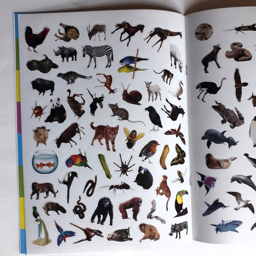 Libro De 100 Stickers: Animales - Flowerpot Press