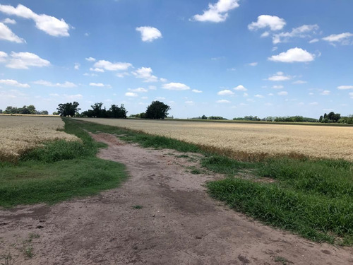 Retasado - Campo En Venta 96 Hectáreas Agricolas/ganaderas