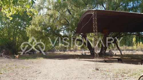 Chacra En Venta - Allen - Rio Negro