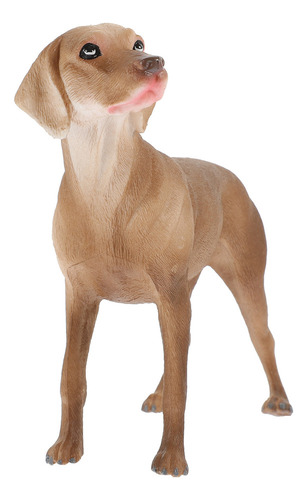 Simulación Perro Weimaraner Simulación Pet Dog The Dog