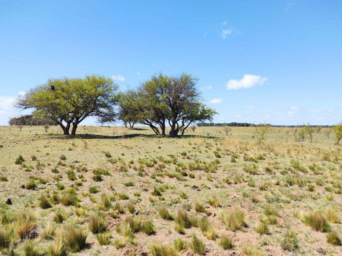 Imagen 7 de 19 de Campo De 95 Has En Ataliva Roca -la Pampa