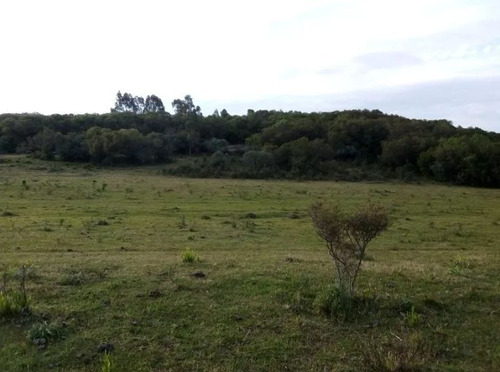 Campo De Sierra En Maldonado