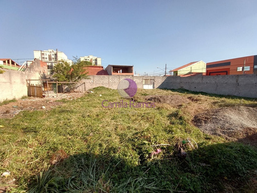 Imagem 5 de 8 de Terreno À Venda 270 M² - Vila Urupês - Suzano/sp. - Te00180 - 69366953