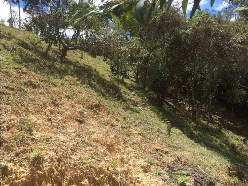Lote En Venta Con Cabaña Y Explanada Para Casa Principal, Guarne