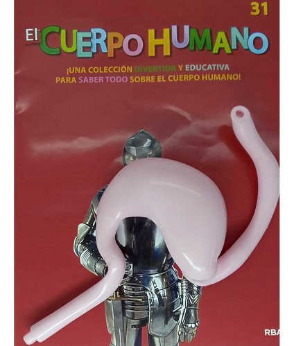 El Cuerpo Humano (para Armar) 31 Estomago, De Varios Es. El Cuerpo Humano Editorial Fasciculos Coleccionables (ff) En Español, 2025
