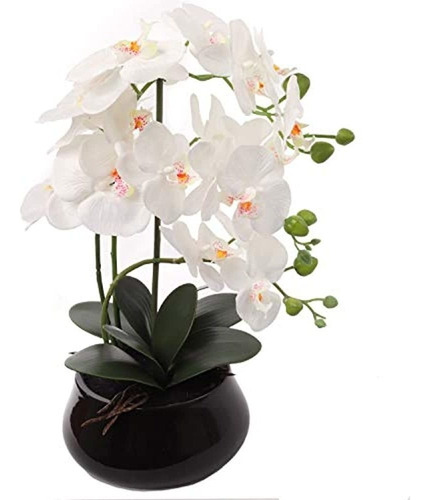 Arreglo De Flores De Orquídeas Blancas En Jarrón, 19 Cabezas