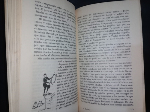 Libro Hablaba Con Bestias Peces Pájaros Konrad Lorenz