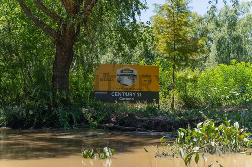 Imagen 5 de 13 de Venta - Lote - Terreno - Isla Del Caraguata - Islas Del Delta - Tigre