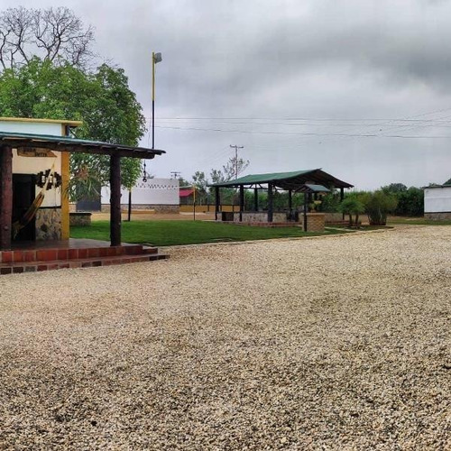 Imagen 14 de 20 de Oportunidad Finca Agro Industrial En Bejuma, Ryes Arriba, LG