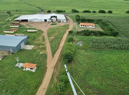 Venta Finca Productora De Cereales Y Ganado