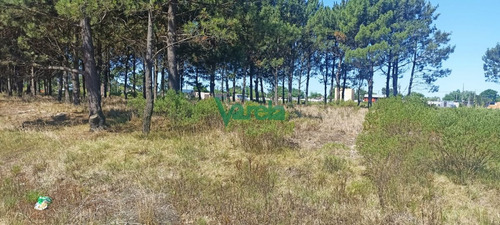 Imagen 8 de 9 de Venta Terrenos Solymar