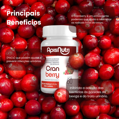 Cranberry 300mg 60 Caps - Apisnutri