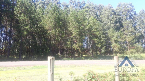 Chácara Com 5 Dormitórios À Venda, 36000 M² Por R$ 600.000,00 - Papua - Faxinal/pr - Ch0184