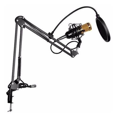 Kit Micrófono Estudio Condensador Profesional Bm800+brazo