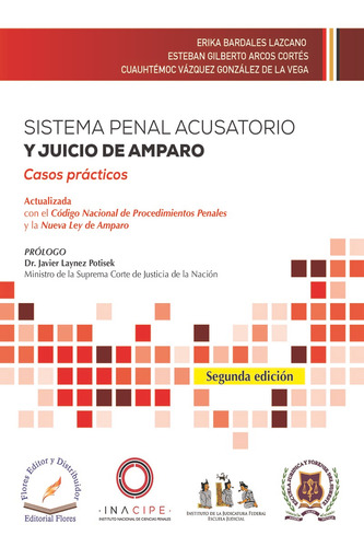 Libro: Sistema Penal Acusatorio Y Juicio De Amparo / 2 Ed.