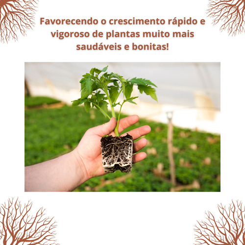 Adubo Npk Enraizador Forte De Plantas 1 L, Grama, Gramados