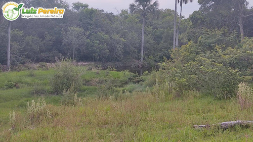 Imagem 5 de 15 de Fazenda Á Venda Em Corguinho/taboco - Ms -551 Hectares (dupla Aptidão) - 2237