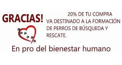 2 Dijes Musica Amor Sol + 2 Cadenas Acero Importado Rocklove