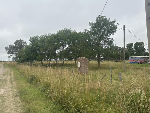 Campo De 6 Hectáreas A Metros De Ruta 6, San Vicente.