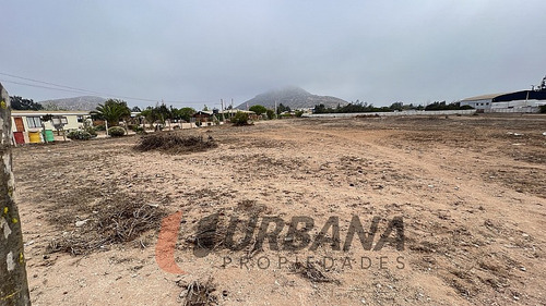 Arriendo Amplio Sitio Sector Pan De Azucar