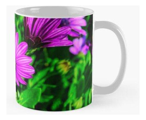 Taza Flores Púrpuras Mejoradas Calidad Premium