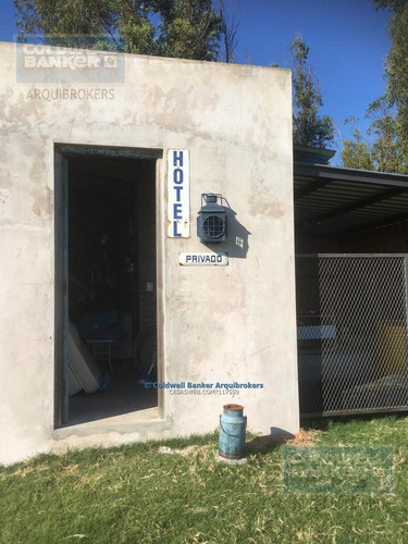 Espectacular Chacra En Venta Con Renta En Laguna Del Sauce