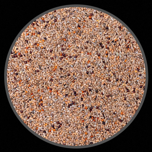Mistura Bicudo Premium Completa - 200g