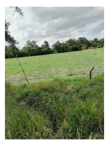 Imagen 4 de 7 de Terreno Venta Tepotzotlan