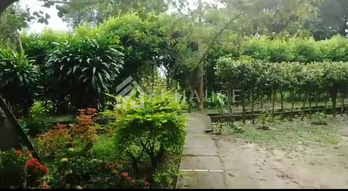 Imagen 1 de 8 de Finca De 13.5 Has En Barinas En Venta