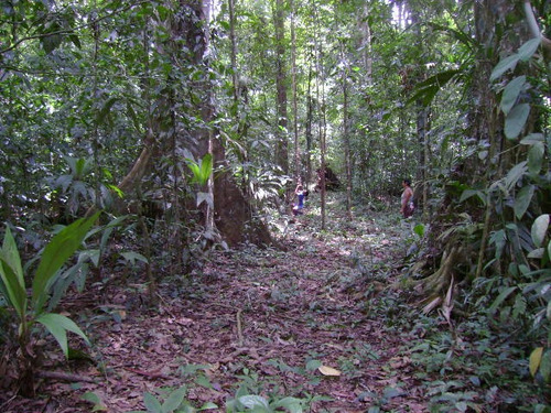 Imagen 10 de 14 de Venta De Hermosa Finca