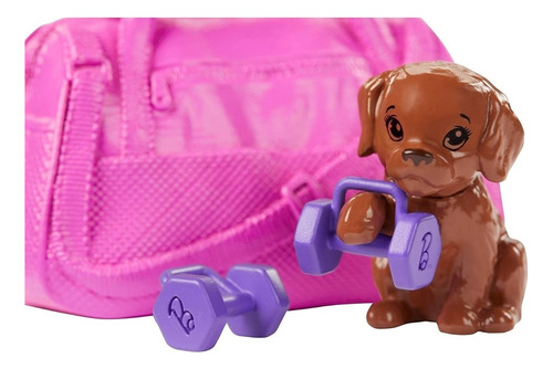Muñeca Barbie Deportiva Articulada Cachorro Y Accesorios