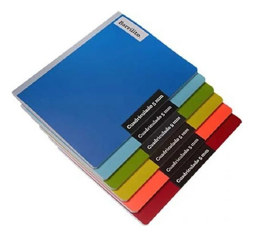 10 Cuadernos Cosidos Profesional Cuadro Chico 5mm Barrilito Color Multicolor