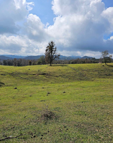 2,8 Hectáreas Monte Grande A 10 Km De Xico Veracruz