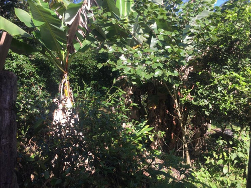 Imagem 11 de 14 de Terreno Para Venda Em Itapoá, Balneário São José - Lflh - 07_1-1539357