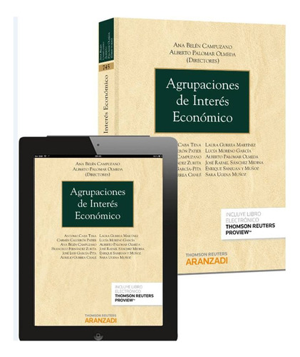 Agrupaciones De Interés Económico (papel + E-book)