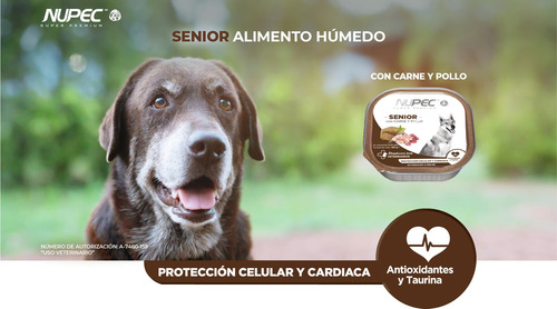 Nupec Perro Senior 15kg + 4 Latas De Alimento Humedo