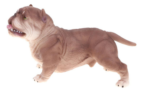 Pitbull Modelo