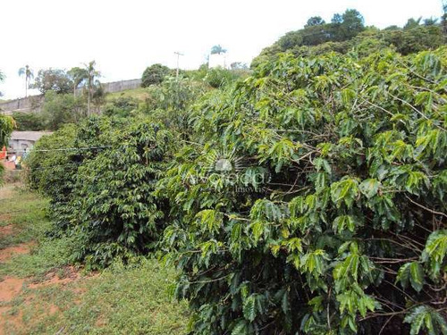 Sítio Com Lago, Ponte Alta, Jarinu - R$ 800 Mil, Cod: St012 - Vst012