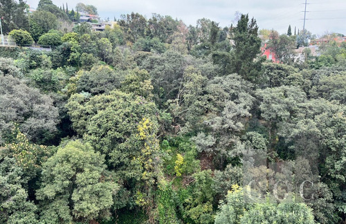 Imagen 28 de 30 de Este Departamento En Realidad Es Una Casa Con Los Beneficios