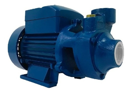 Bomba D`água Motobomba Periférica 0,5hp 1/2 Cv Bp60 Lepono
