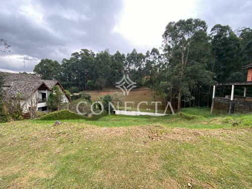 Imagem 1 de 2 de Terreno À Venda No Tamboré 01 - Cnc1585