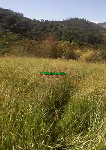 Imagem 8 de 10 de Chácara Em Monteiro Lobato - 2010