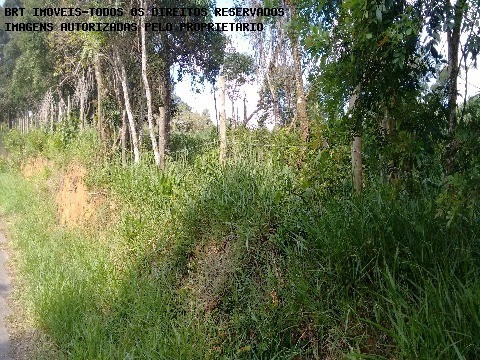 Imagem 4 de 5 de Terreno - Te00035 - 2512240