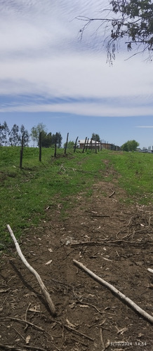 Parcela De 6,5 Ha En Comuna Rio Claro, Region Del Maule,