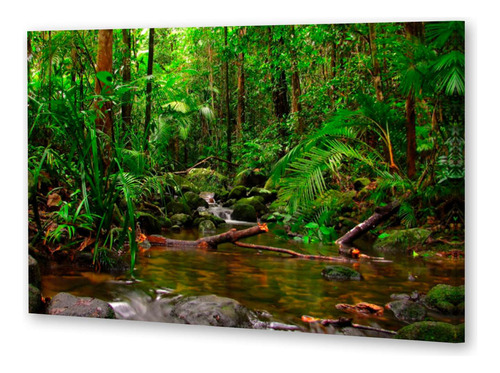 Cuadro 40x60cm Jungla Amazonas Rio Y Hojas