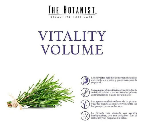 Shampoo The Botanist Aceite De Romero 591 Ml