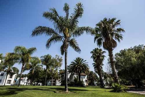 Imagen 6 de 12 de Terrenos Residenciales En Venta En Balvanera, Corregidora Querétaro