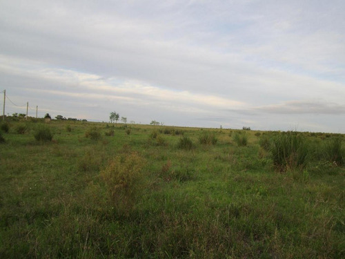Imagen 8 de 18 de Campo Pegado A Tala, 22 Hás
